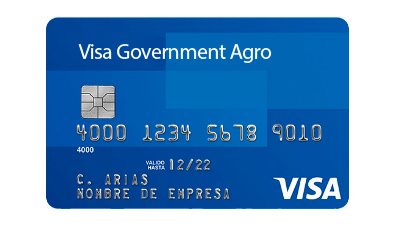 Tarjeta Visa Government Agro