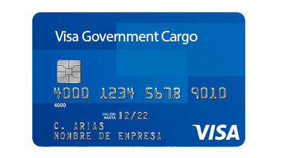 Tarjeta Visa Government Cargo