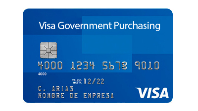 Tarjeta Visa Government Purchasing