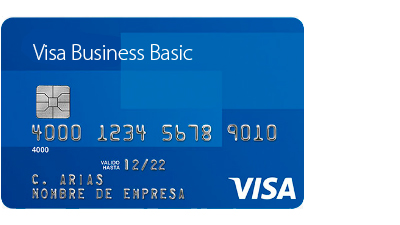 Visa Business Basic