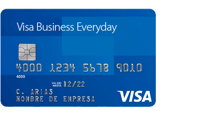Visa Business Everyday