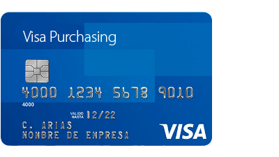 Visa Purchasing